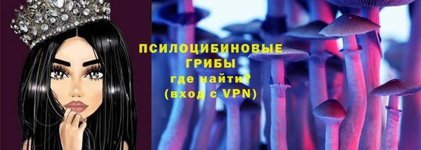 прущие крисы Абинск