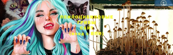 ПСИЛОЦИБИНОВЫЕ ГРИБЫ Семилуки