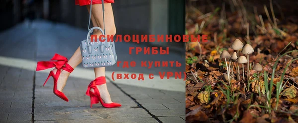 СК Семёнов